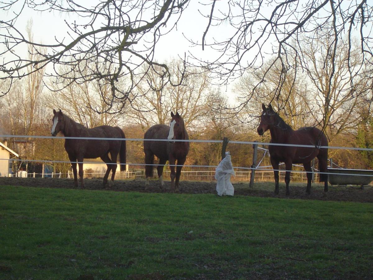 Ferme Passion Bed & Breakfast Saint-Trivier-sur-Moignans ภายนอก รูปภาพ