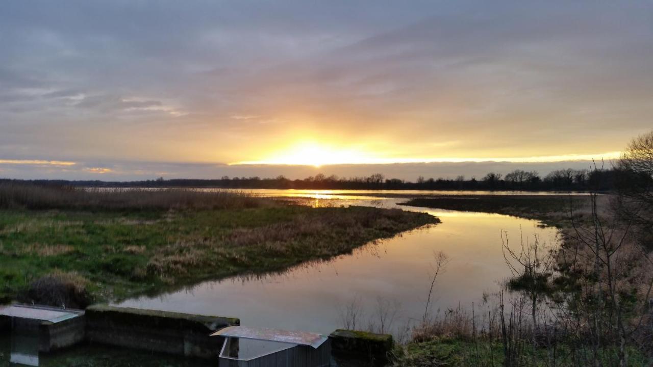 Ferme Passion Bed & Breakfast Saint-Trivier-sur-Moignans ภายนอก รูปภาพ