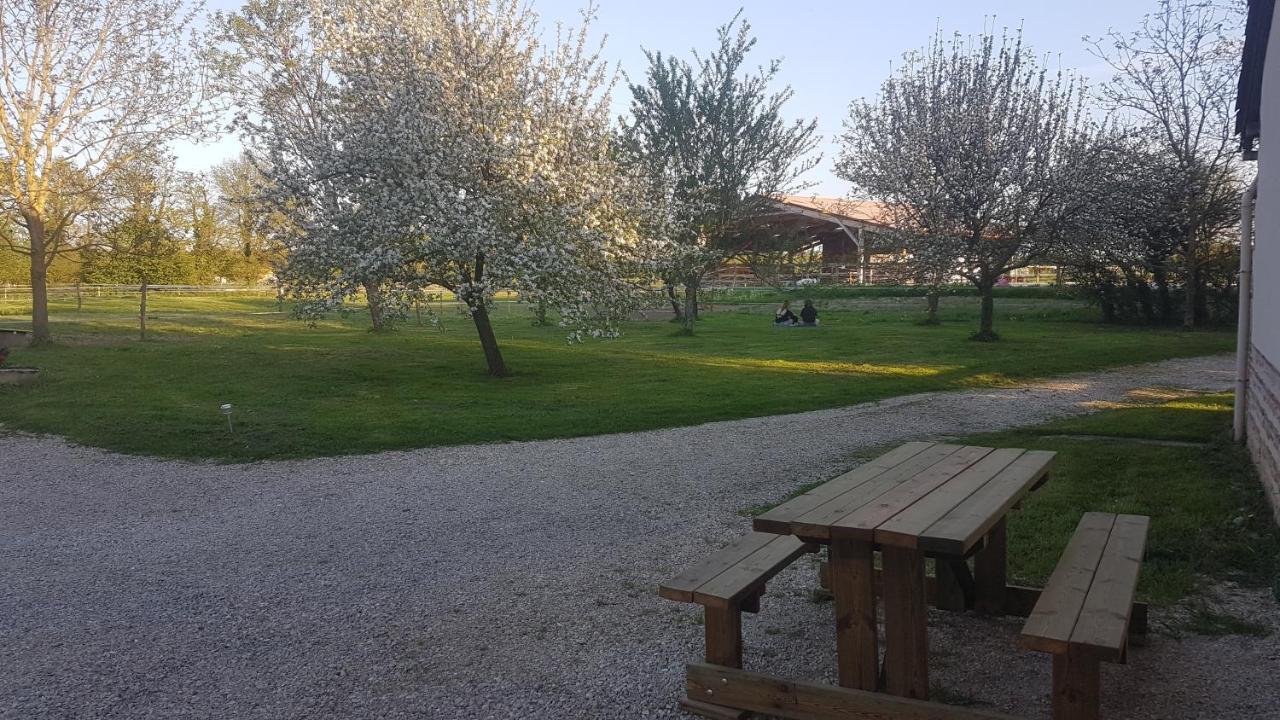 Ferme Passion Bed & Breakfast Saint-Trivier-sur-Moignans ภายนอก รูปภาพ